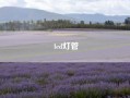 led灯管_eefl灯箱和led灯箱二者相比较各有什么优缺点?