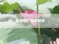美哒哒广场舞视频；mm网络用语是什么意思?