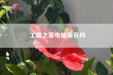 工商之家电脑版凯发官网入口首页官网__工商商户之家,支付成功,app里不显示,各位大神咋回事呢
