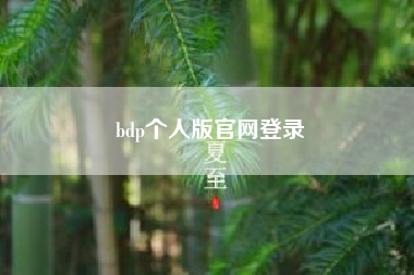 bdp个人版凯发官网入口首页官网登录?bdp个人版中的数据图表如何导出?
