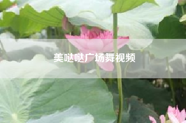 美哒哒广场舞视频；mm网络用语是什么意思?
