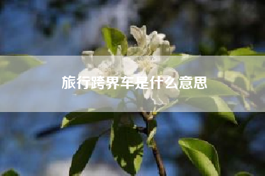 旅行跨界车是什么意思?suv跨界车是什么意思?