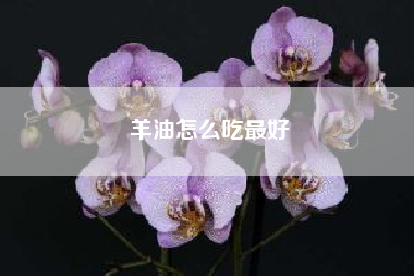 羊油怎么吃最好?羊油怎么吃 羊油食用方法?