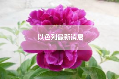 以色列最新消息?以色列“大屠杀”已致61死美国为何阻止联合国调查?